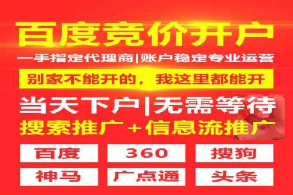 探索SEM优化公司如何助力企业品牌建设
